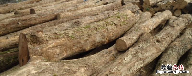 窨子木真的存在吗 窨子木存在吗