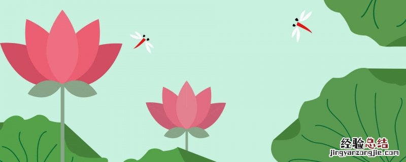 描写夏天荷塘的诗句 描写夏日荷塘的诗