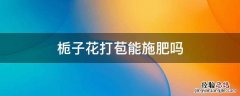 栀子花打苞能施肥吗 栀子打花苞的时候能施肥吗
