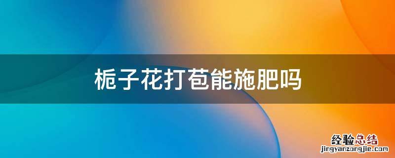 栀子花打苞能施肥吗 栀子打花苞的时候能施肥吗