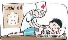 什么是三伏贴 什么是三伏贴得多少钱