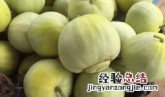 雪梨瓜种子需要用温水浸泡吗 雪梨瓜种子需要用温水浸泡吗