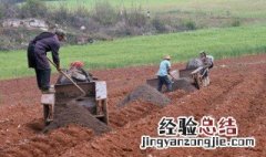 增施农家肥可以提高光合效率的原因 合理施肥可以提高农作物光合速率