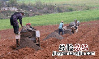 增施农家肥可以提高光合效率的原因 合理施肥可以提高农作物光合速率