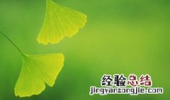 五行属木的颜色 五行属水的颜色