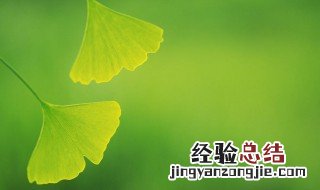 五行属木的颜色 五行属水的颜色