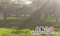四月份的阳光会晒黑吗 4月份什么时候晒太阳好