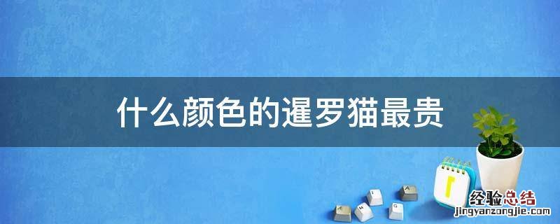 什么颜色的暹罗猫最贵 什么颜色的暹罗猫比较贵