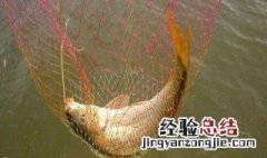 河水下降怎么钓不到鱼 水下降了怎么钓鱼