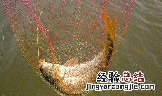 河水下降怎么钓不到鱼 水下降了怎么钓鱼
