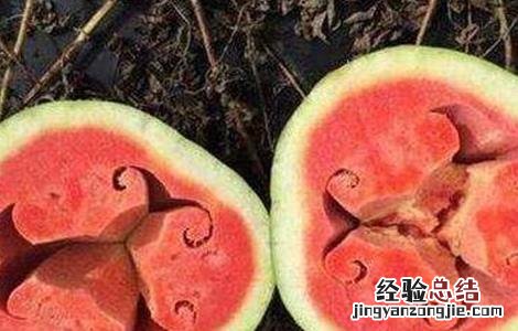 西瓜空心厚皮的原因 大棚西瓜厚皮空心是什么原因