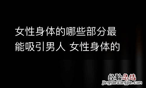 女性身体的哪些部分最能吸引男人 女性身体的哪些部分最能吸引男人注意