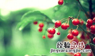 关于青春的名言名句 关于青春的唯美句子