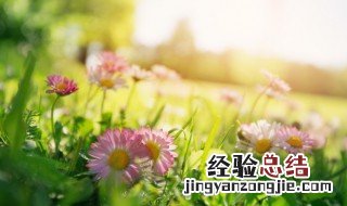 描写春天景色优美的句子30字 描写春天景色优美的句子