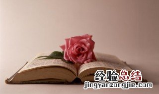 赤加者怎么读 赤加者怎么读什么意思