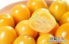 姑娘果种植要点 姑娘果种植方法