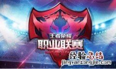 职业选手标签会在哪里展示? 职业选手的标志怎么弄