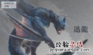 怪物猎人世界冰原碎龙弱什么属性 怪物猎人世界冰原迅龙弱什么属性