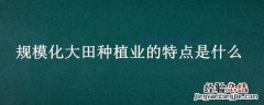 规模化大田种植业的特点是什么 规模化大田种植业的特点是什么多选