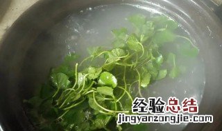 新鲜雷公根的做法? 雷公根怎么做好吃又嫩