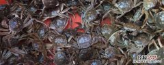 螃蟹为什么退壳 螃蟹换壳后为什么死了