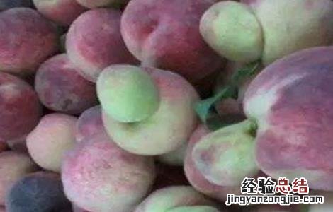 桃树畸形果的原因 果树畸形果原因