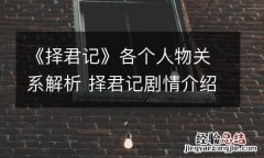 《择君记》各个人物关系解析 择君记剧情介绍