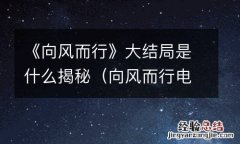 向风而行电视剧豆瓣 《向风而行》大结局是什么揭秘