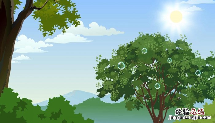 关于树的唯美句子加出处 关于树的唯美句子