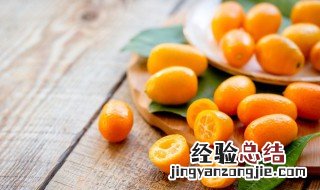 天山雪菊的功效与作用 天山雪桔子的功效与作用