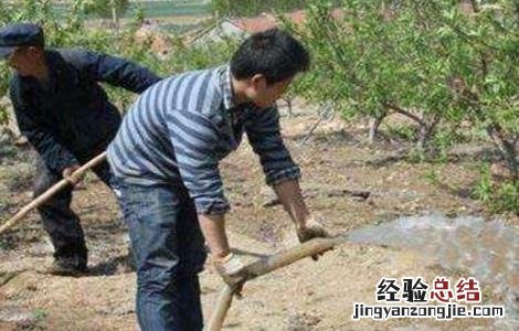 果树土肥水管理常见的四大误区 果树土肥水科学管理方法