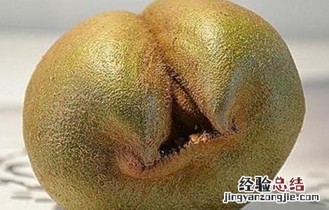 猕猴桃畸形原因及防治措施 猕猴桃畸形原因及防治措施视频
