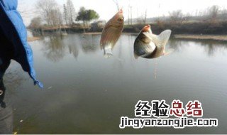 水皮钓鱼技巧 水皮钓鱼技巧视频教程