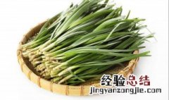种韮菜怎么种 如何栽种韮菜
