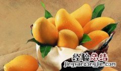 芒果的功效与作用禁忌 芒果的功效与作用禁忌月经期