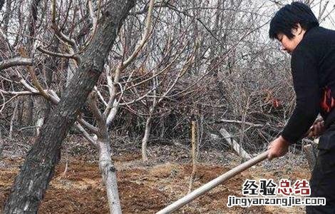 冬季果树施肥技术 冬季果树施肥技术有哪些