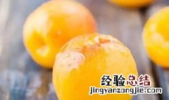杏子不能和什么一块儿吃 杏子和什么不能一起吃