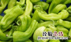 虎皮青椒的做法肉末 虎皮包肉末青椒的做法窍门