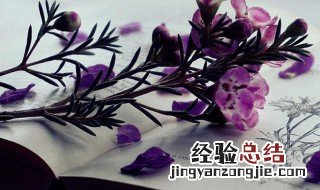 未可厚非的意思及造句 未可厚非的意思