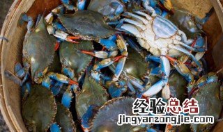 稻田蟹保存方法 稻田河蟹怎么保存