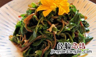 马齿菜的做法大全集 马齿菜的做法大全