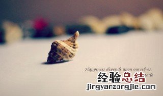 丁的组词怎么组 丁的组词
