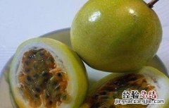 百香果种植方法和注意事项 百香果引种前注意事项