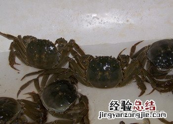 吃河蟹应该注意哪些事儿 食用河蟹的注意事项