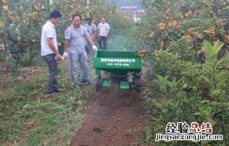 果园秋施基肥方法 秋季果园施肥三原则