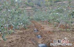 果园秋施基肥方法 秋季果园施肥三原则