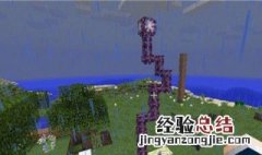 紫颂花怎么采集 紫颂花怎么得到