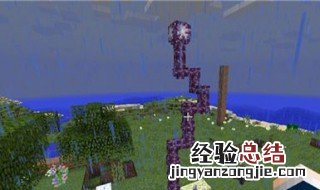 紫颂花怎么采集 紫颂花怎么得到
