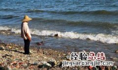生物垃圾通常占总量的多少 生物垃圾通常占总量的多少以上