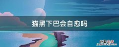 猫黑下巴会自愈吗 猫的黑下巴能自愈吗